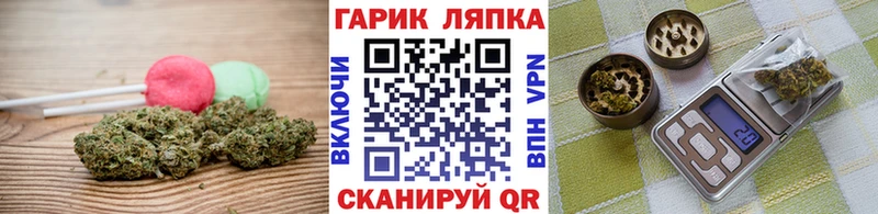 Canna-Cookies марихуана  Спас-Деменск 