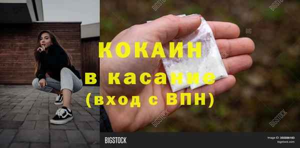 гидра Аркадак