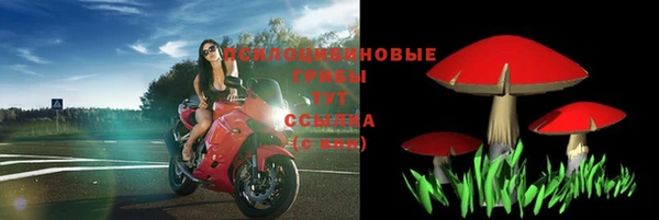 гидра Аркадак
