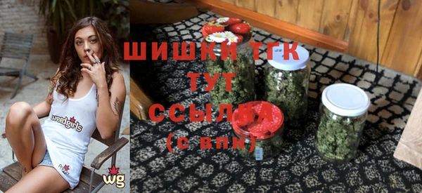 гидра Аркадак