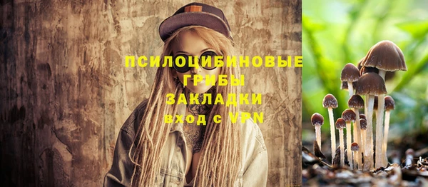молекула духа Балахна