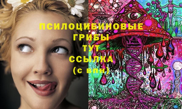 молекула духа Балахна